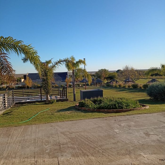 8cf86817-ed49-46be-a482-41c2ef832991