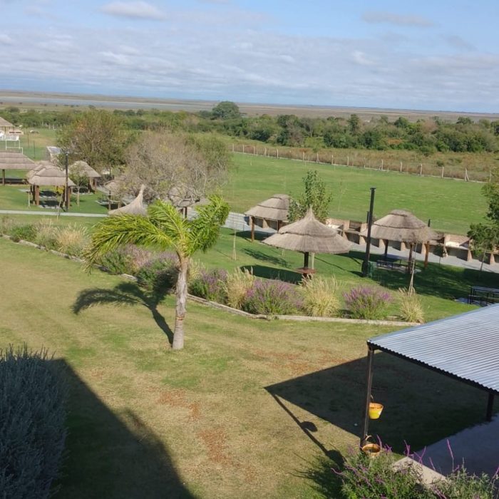 b2e53696-109b-4464-965c-9c66834395dd