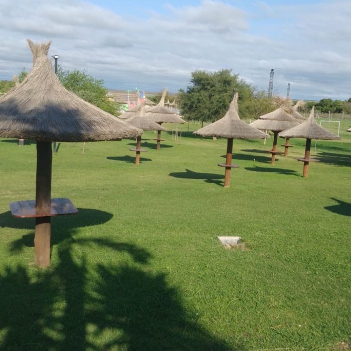 e54ed50f-bdd9-4d7b-917e-d083c261351e